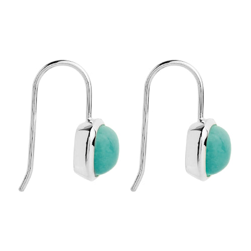 Amazonite hook earrings