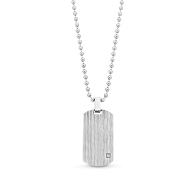 Stainless Steel Dog Tag and chain