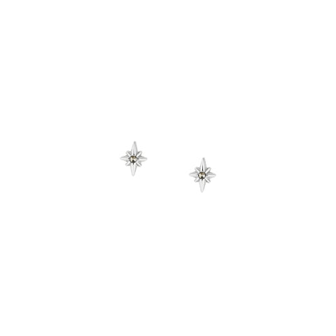 Pointed Star earrings