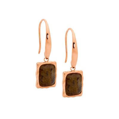 Steel & rose gold plated earrings