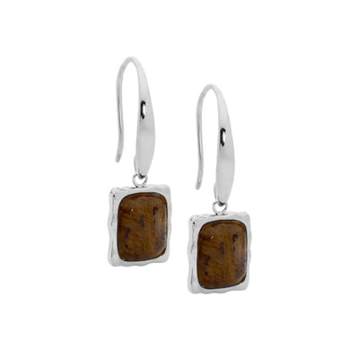 Steel labarodorite earrings